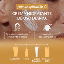 Cargar imagen en el visor de la galería, Hidratante facial de uso diario