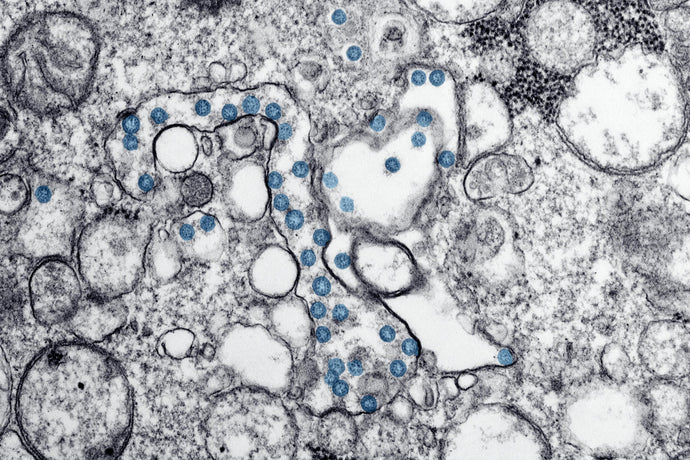 El microbioma de la piel