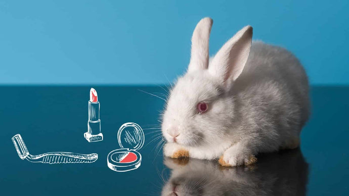 La crueldad animal en la cosmética