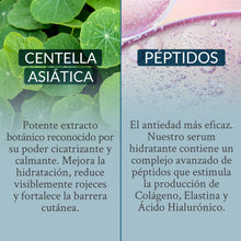 Cargar imagen en el visor de la galería, Serum Péptidos + Centella Asiática
