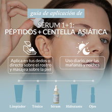 Cargar imagen en el visor de la galería, Serum Péptidos + Centella Asiática
